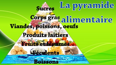 la pyramide alimentaire