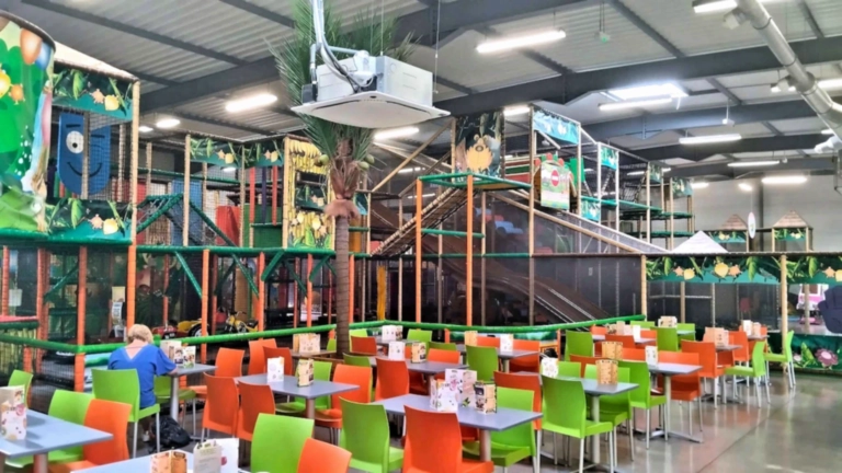 Aire de jeux intérieure sur le thème de la jungle chez Okidok Besançon