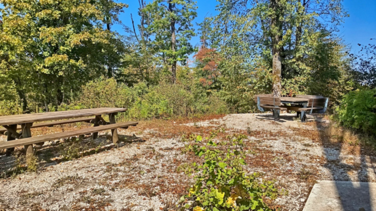 Tables et bancs installés dans l’aire de repos au pied de la Tour des Bois