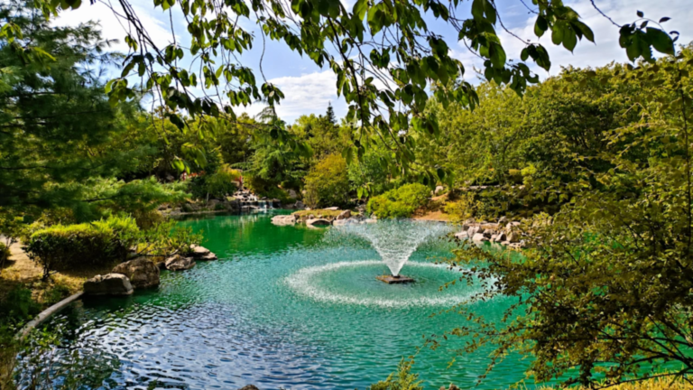 Bassin et fontaine du jardin japonais de Dijon encadrés par les arbres et la végétation.