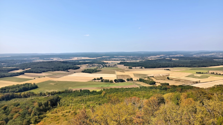 Mosaïque de champs et de massifs forestiers observée depuis la Tour des Bois dans le Doubs