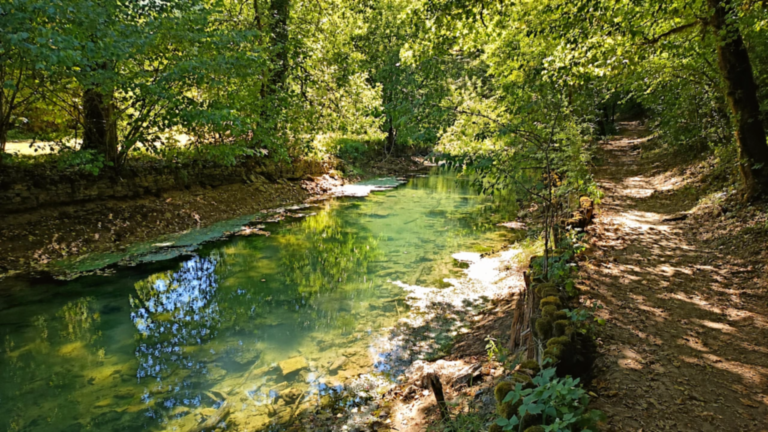 Chemin forestier bordant les eaux claires du Cusancin près de la Source Bleue