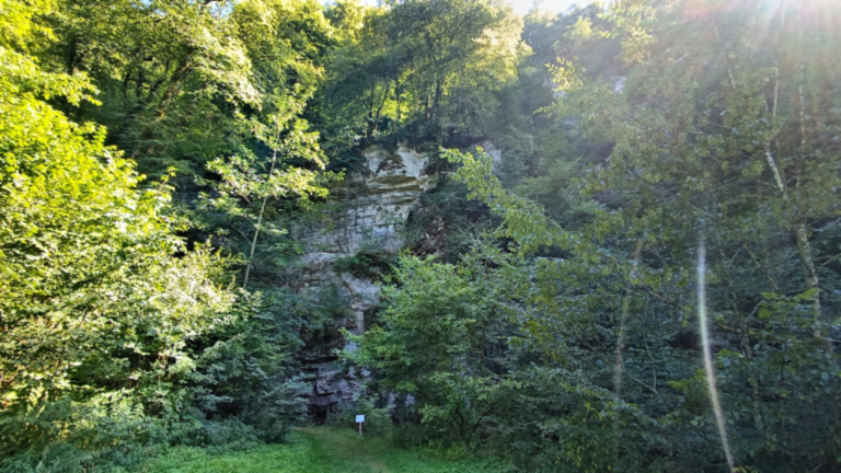 Haute falaise boisée dominant la Source du Cusancin au fond de la reculée