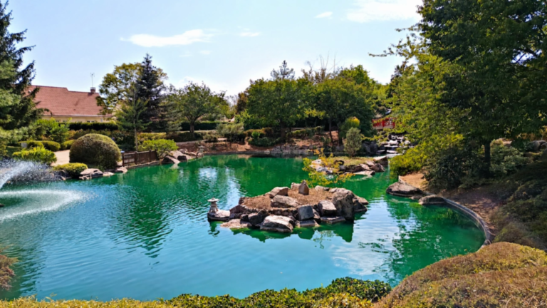 Grand bassin du jardin japonais de Dijon entourant un îlot rocheux avec un jet d’eau et une cascade.