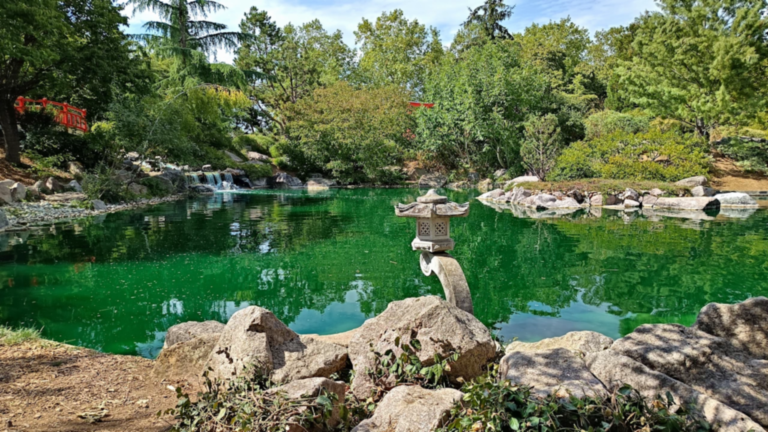 Bassin du jardin japonais de Dijon avec une lanterne en pierre, une cascade et un pont rouge au parc du Suzon.