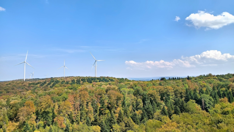 Éoliennes dominant la forêt du Doubs central vues depuis la Tour des Bois