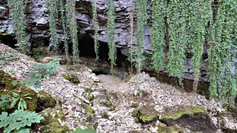 Paroi calcaire couverte de lierre autour des ouvertures de la Source Noire à Cusance