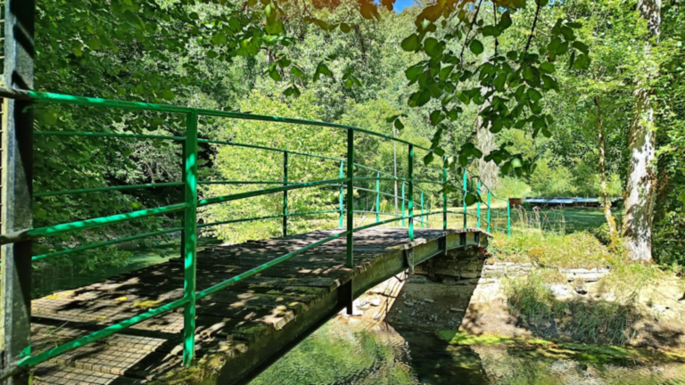 Passerelle en bois avec garde-corps verts près de la Source Bleue de Cusance