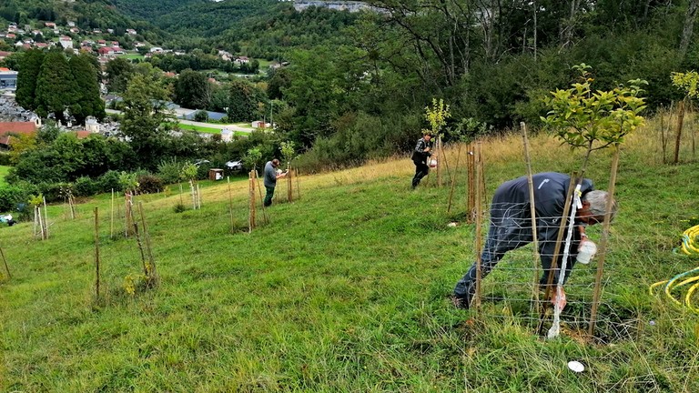 photos du verger des queuteux à ornans