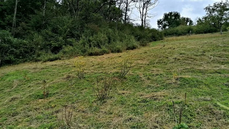 photos du verger des queuteux à ornans