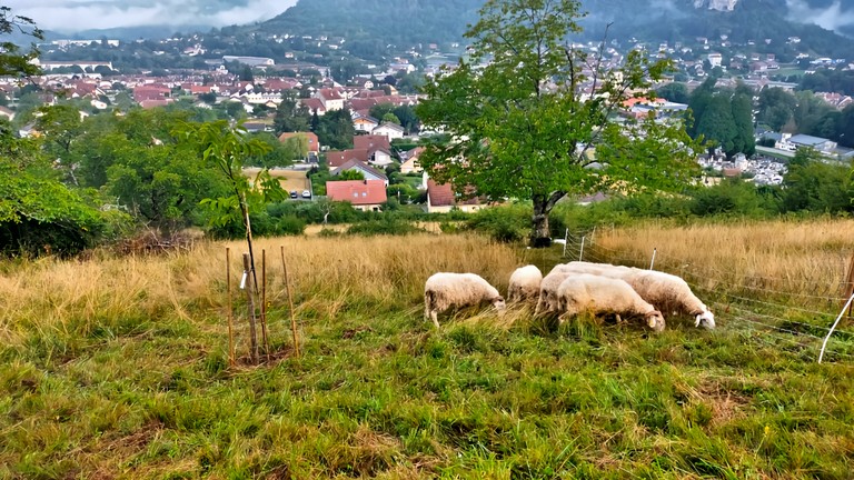 photos du verger des queuteux à ornans