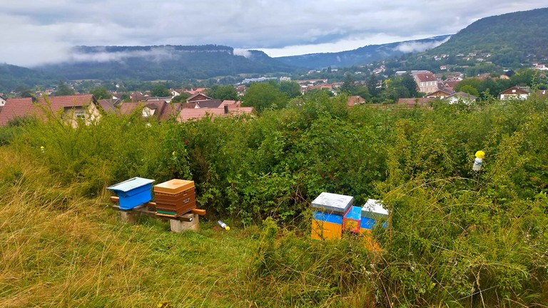 photos du verger des queuteux à ornans