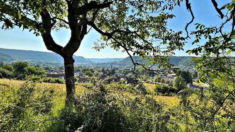 photos du verger des queuteux à ornans
