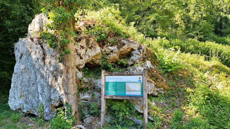 Le Rocher inattendu et son panneau d’interprétation le long de la balade de la Source Bleue