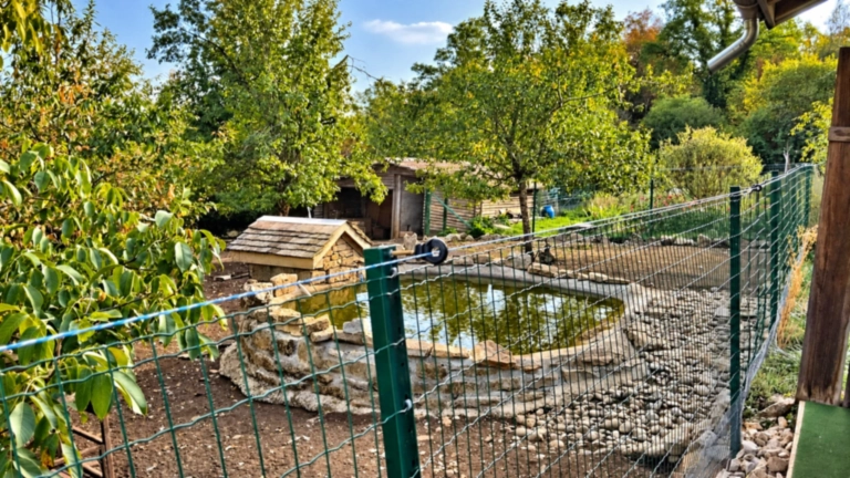 Bassin paysager et jardin verdoyant autour de la roulotte Roul’Poul