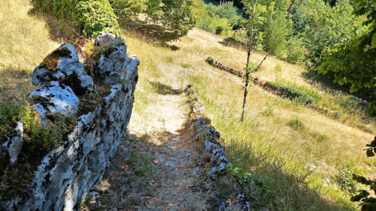 Sentier en pente bordé de pierres menant aux grottes du belvédère de Passavant