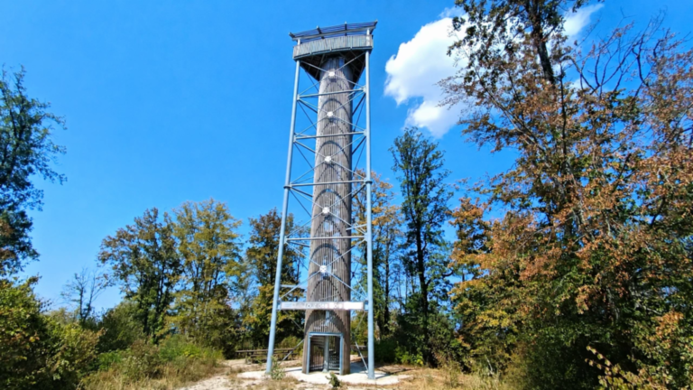 Tour des Bois à La Tour-de-Sçay avec sa haute structure en bois et en métal au milieu de la forêt