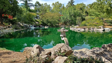 Bassin du jardin japonais de Dijon avec une lanterne en pierre, une cascade et un pont rouge au parc du Suzon.