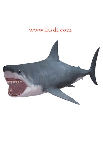 poisson d’avril à imprimer requin réaliste