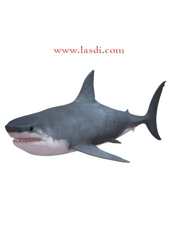 poisson d’avril à imprimer requin gris